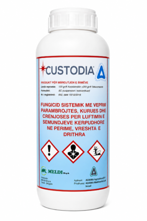 CUSTODIA