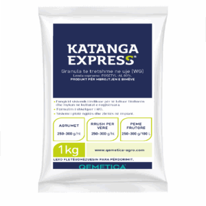 KATANGA EXPRESS