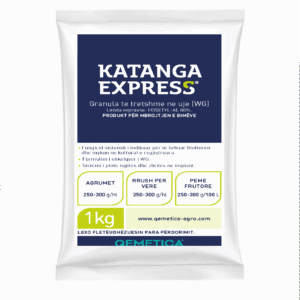 KATANGA EXPRESS