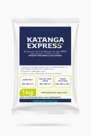 KATANGA EXPRESS