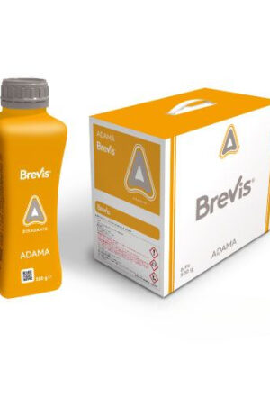 BREVIS