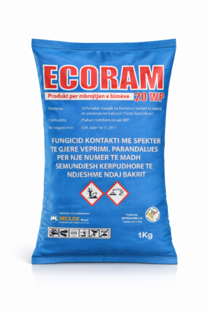 ECORAM