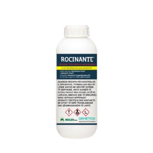 ROCINANTE
