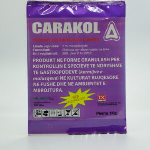 CARACOL