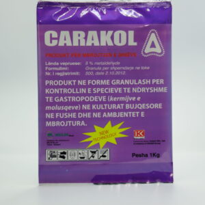 CARACOL