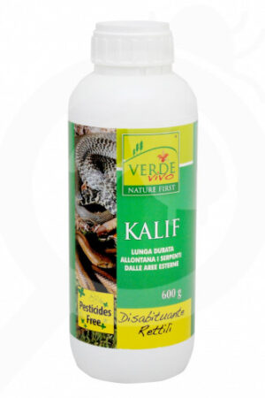 KALIF REPTILES