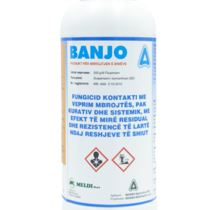 BANJO