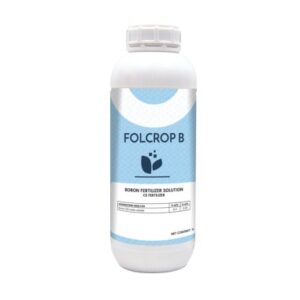 FOLCROP B