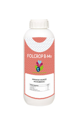 FOLCROP B-Mo