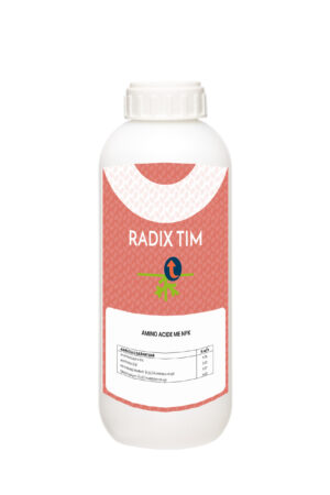 RADIX TIM