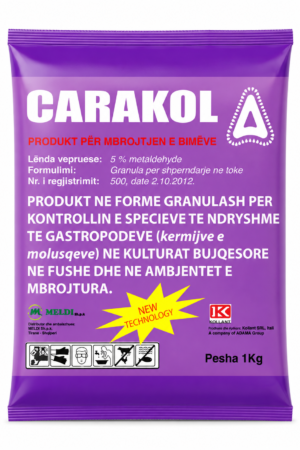 CARACOL